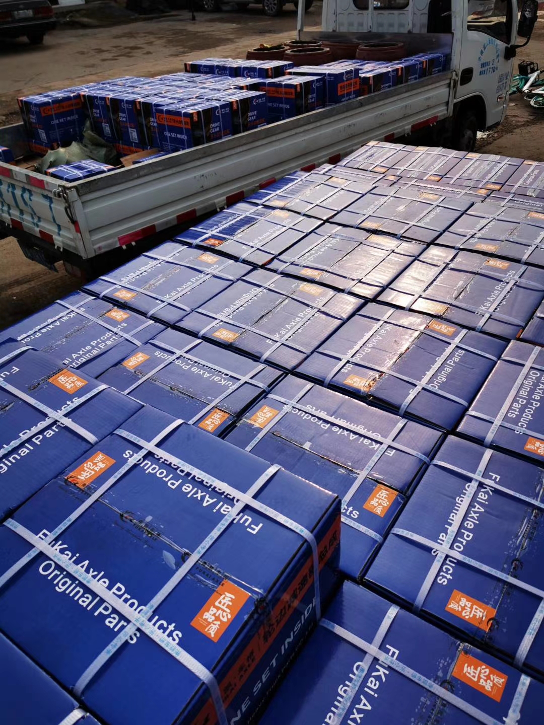 mmexportar1637232191357