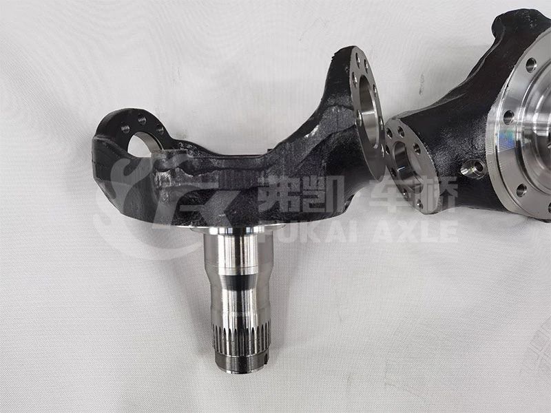 Qt205q0-2304011-Qt205-Front-Drive-Axle-Steering-Knuckle-for-Qingte-Axle-Foton-Truck-Spare-Parts (2)